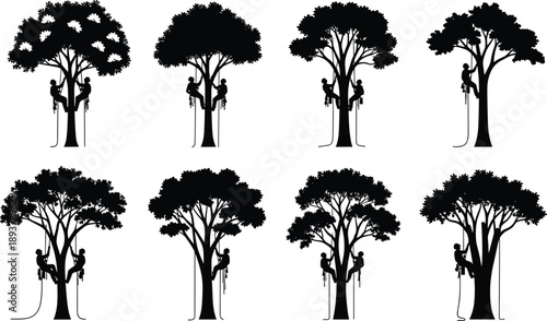 Set of arborist tree care silhouettes with workers climbing high branches using ropes, professional lumberjack forestry service icons, tree surgery maintenance vector illustrations,