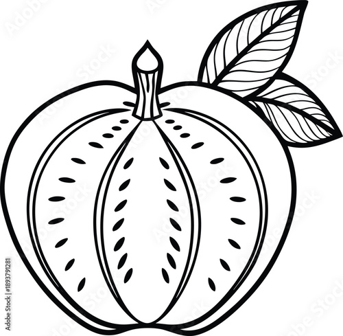 Dillenia Indica (Elephant Apple) Botanical Vector Illustration