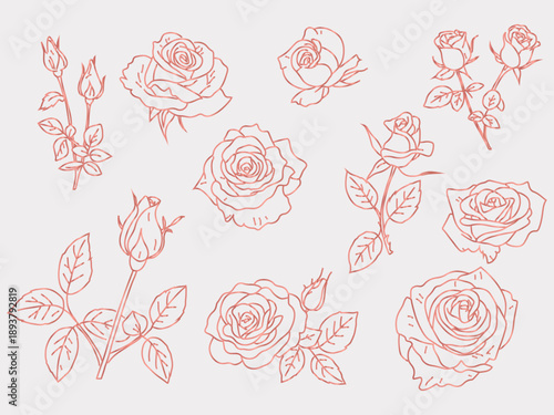 Pink roses line art vector in minimalist style. Elegant floral outline drawing of blooming roses with leaves and buds. Hand drawn for greeting cards and wedding invitations, Valentine's Day 