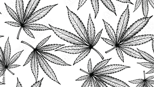 Detailed illustration of multiple cannabis leaves on a white background in black and white