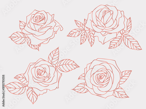 Pink roses  outline vector set. Spring floral vector illustration for fashion, textile, fabric, decoration,Hand drawn for greeting cards and wedding invitations, Valentine's Day 