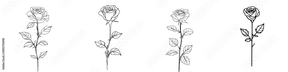 Fototapeta premium Elegant Rose: A Timeless Symbol of Love and Passion