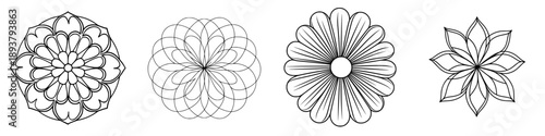 Elegant black and white rosette art