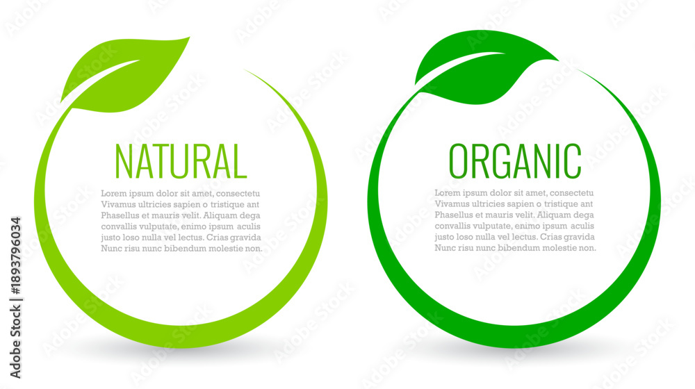 Obraz premium Natural organic text frames with green leaf, abstract web design elements