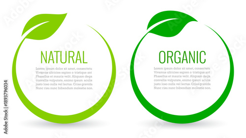 Natural organic text frames with green leaf, abstract web design elements