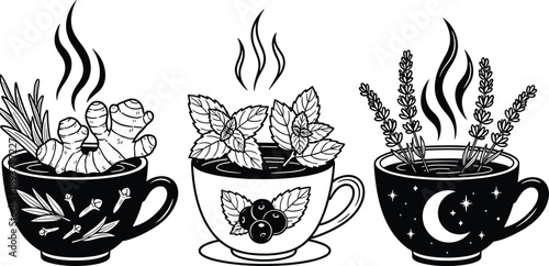 Black and white line art vector illustration of three herbal tea cups with ginger mint and lavender for wellness healthy lifestyle and organic beverage design