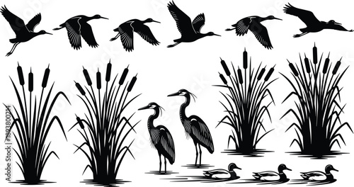 Wetland wildlife silhouettes set featuring flying birds, herons, ducks, and reeds, nature ecosystem illustration, marsh habitat scenery, and natural environment elements isolated on white background