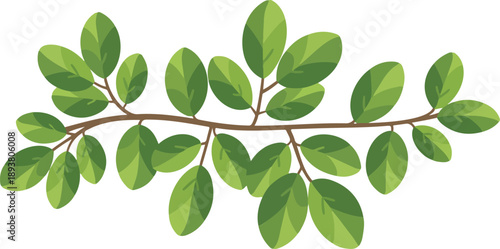 Green Leafy Branch Vector Illustration  Hand-Drawn Botanical Foliage