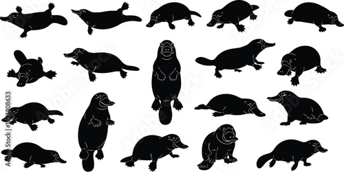 Platypus Silhouette Set Collection of Australian Monotreme Animal Poses Wildlife Icons Isolated on White Background Vector Illustration Design