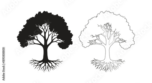 Two contrasting tree illustrations one solid one outlined with roots