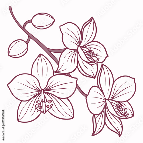 Delicate flower branch illustration