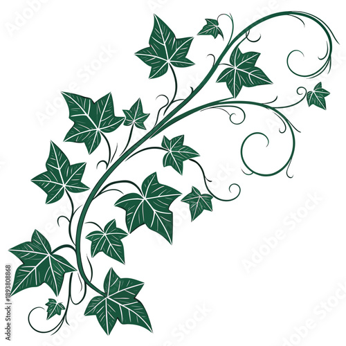 Elegant green vine with leaves