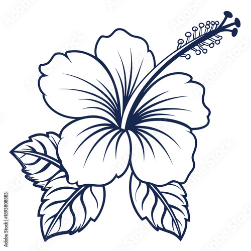 Illustrated hibiscus flower
