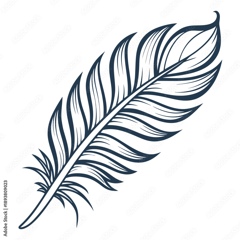 Fototapeta premium Single feather illustration