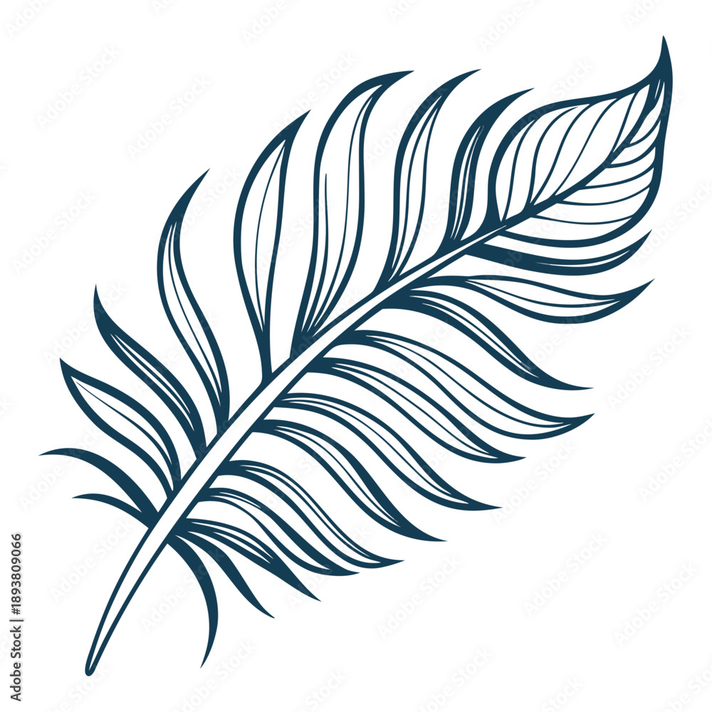 Obraz premium Single feather illustration