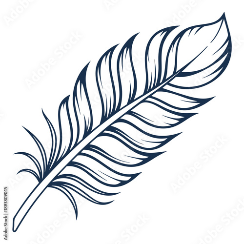 Single feather illustration