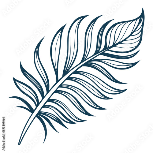 Single feather illustration