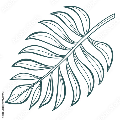 Single tropical leaf illustration