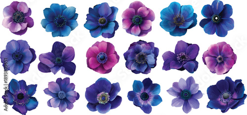 set of blue flowers