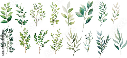 green leaf set vector