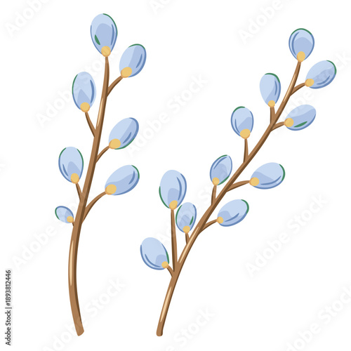 Two blue willow branches in playful hand drawn style. Soft pastel spring botanical illustration for design