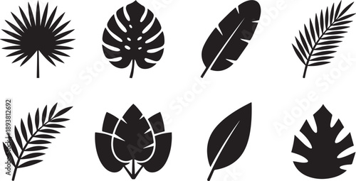 Silhouette of Lush Foliage A curated selection of stylized leaf silhouettes