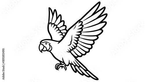 Parrot flying in the air with outstretched wings