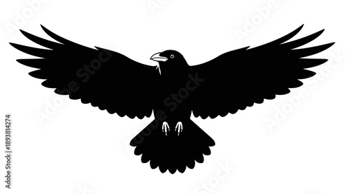 Black bird silhouette flying in the air