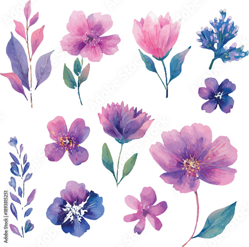 collection of flowers