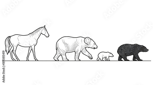 Monochromatic line art drawing of diverse animals: horse, polar bear, polar bear cub, and black bear illustration