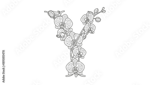 Floral letter y made with orchid flowers