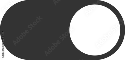 Dark toggle switch with white knob on right