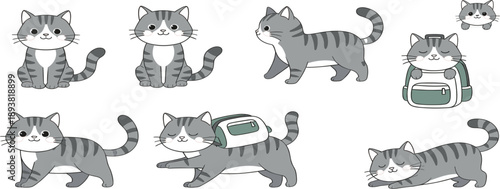 Cute Gray Tabby Cat Cartoon Character Set with Different Poses and Backpack for Pet Illustration Kids Design Mascots Stickers and Animal Vector