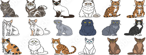 Realistic Cat Breeds Illustration Set with Different Fur Colors Poses and Expressions for Pet Design Education Stickers and Animal Vector Collection