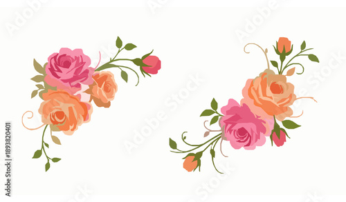 Vintage peach and pink rose floral illustration with green vines isolated on white vector