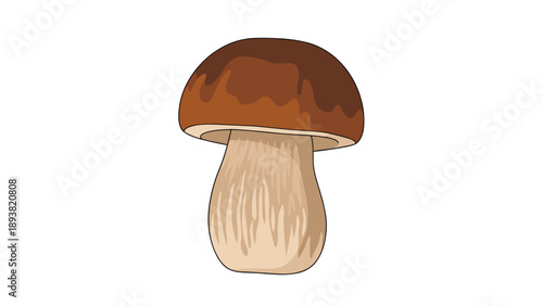 A simple and realistic cartoon illustration of a single porcini or cep mushroom with a thick stem and a brown cap.