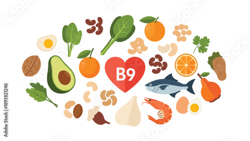 A collection of healthy foods rich in vitamin B9, such as spinach, avocado, nuts, and fish, arranged around a heart symbol for a balanced diet.