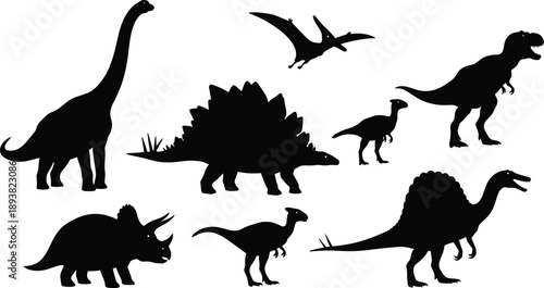 Collection of various dinosaur silhouettes, black vector set including Tyrannosaurus Rex Triceratops Brachiosaurus and Stegosaurus icons, isolated prehistoric animal species for educational design.