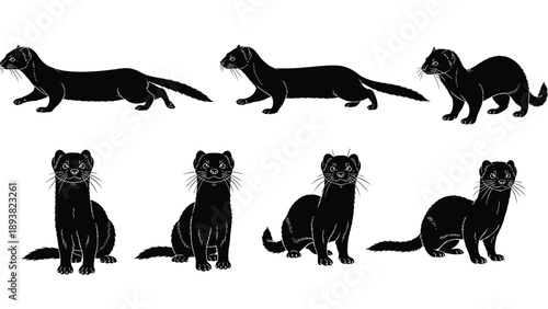 Black silhouettes of a mink in various poses including standing, sitting, and walking, representing wildlife animals for nature and conservatio