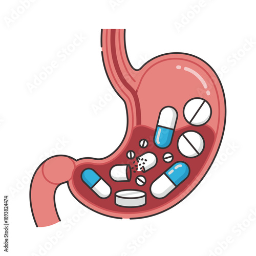 Stomach with pills and capsules, illustration of medicine intake and digestive system health