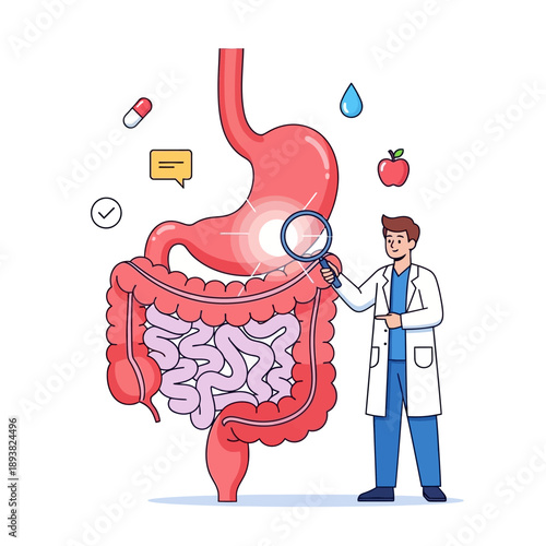 Doctor examines stomach and intestines with magnifying glass, digestive health concept