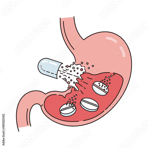 Medical illustration of a capsule and pills dissolving inside a human stomach