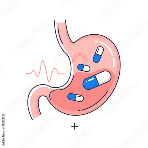 Stomach with capsules and heart rate line, medical illustration