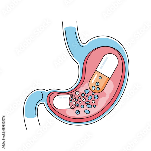 Stomach with open capsule releasing pills, medical illustration