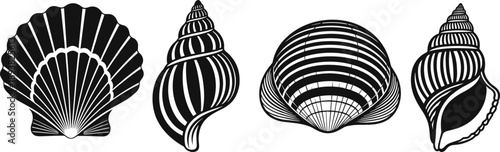 Set of black and white seashell icons including scallop clam and spiral conch shells for nautical beach decor summer branding and marine illustrations
