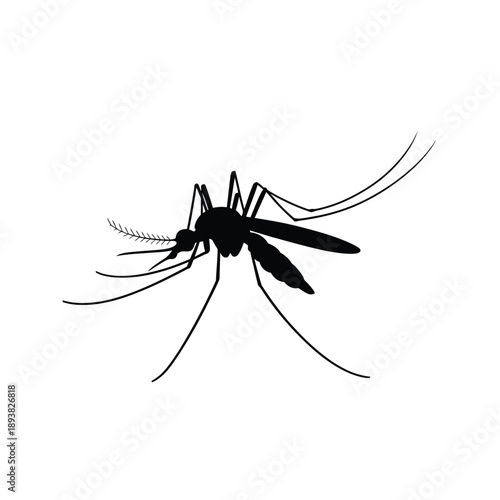 A black silhouette of a mosquito displaying its delicate wings and proboscis