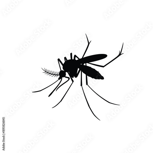 A stark silhouette of a mosquito detailed wings and delicate legs visible
