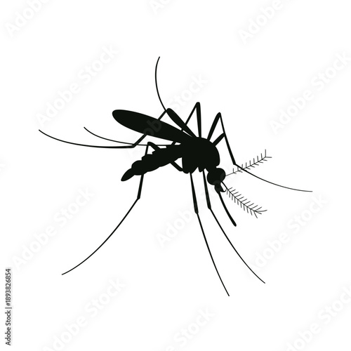 A detailed silhouette of a mosquito showcasing its delicate anatomy