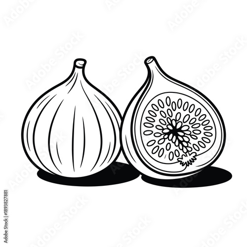 Black and white illustration depicting a whole and halved fig fruit