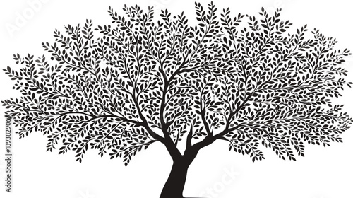 Black and White Silhouette of a Lush, Broadleaf Tree with Dense Foliage, Vector Illustration for Nature and Ecology Concepts